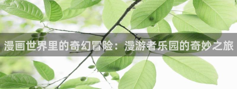 漫漫漫画电脑版