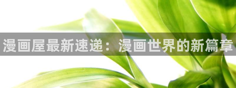 新新漫画免费阅读