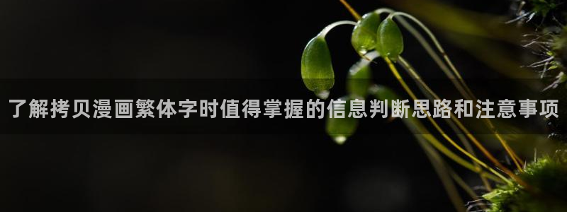 漫漫漫画热门漫画